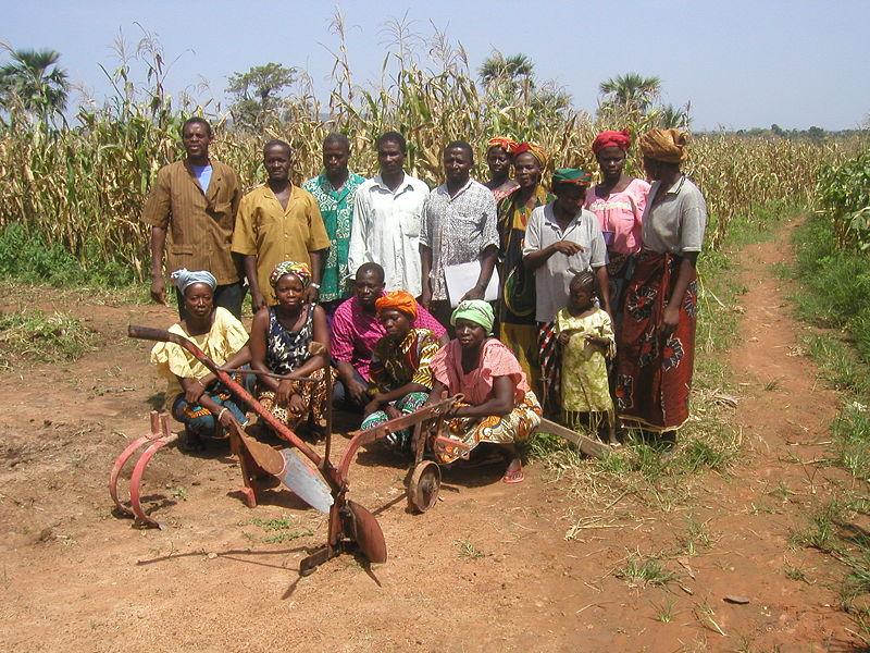 Imagen de fondo de Coalition Burkinabè des Droits des Femmes (CBDF)