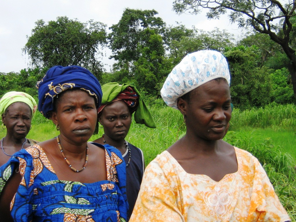 Imagen de la noticia Mindjeris Dianti: autonomía económica y social de mujeres vulnerables de Safim, Nhacra y el sector autónomo de Bissau, Guinea-Bisáu, para satisfacer sus derechos a una vida digna y una alimentación adecuada