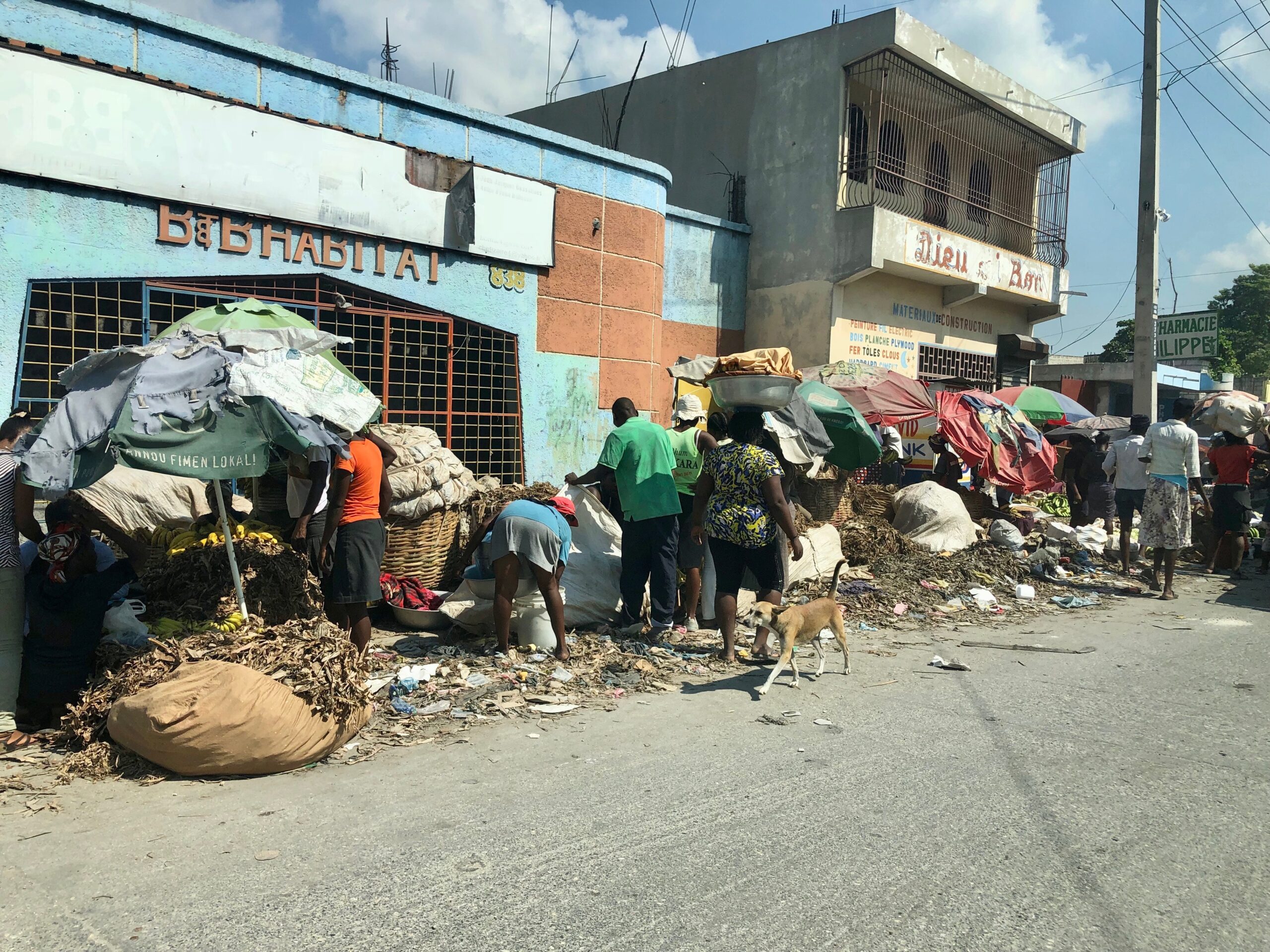 Imagen de la noticia Respuesta en salud en Haití después del huracán Matthew