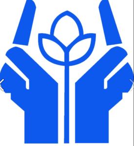 Instituto Peruano de Educación en Derechos Humanos y la Paz (IPEDEHP)