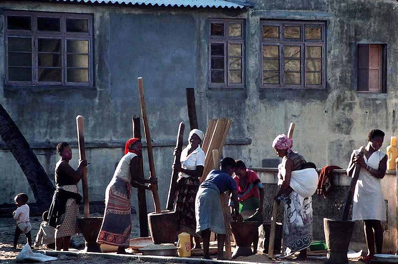 Imagen de la noticia Generadas iniciativas de desarrollo económico local y participación comunitaria en 5 comunidades del distrito de Limpopo (Mozambique)
