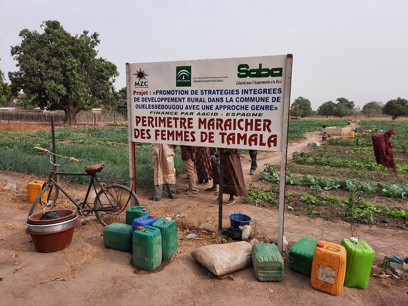 Imagen de la noticia Fomento de las estrategias de desarrollo rural integrado en la comuna de Ouelessebougou con un enfoque de género.