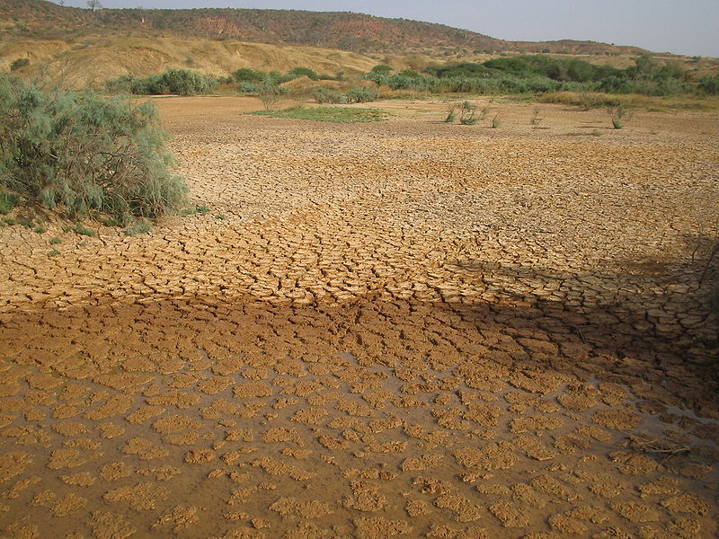 Imagen de la noticia Refuerzo de la resilencia de la población rural, frente a los riesgos climáticos y la Covid-19 en la Región de Saint-Louis, Senegal